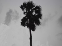 /album/my-personal-website/a48-dscn3117-jpg/